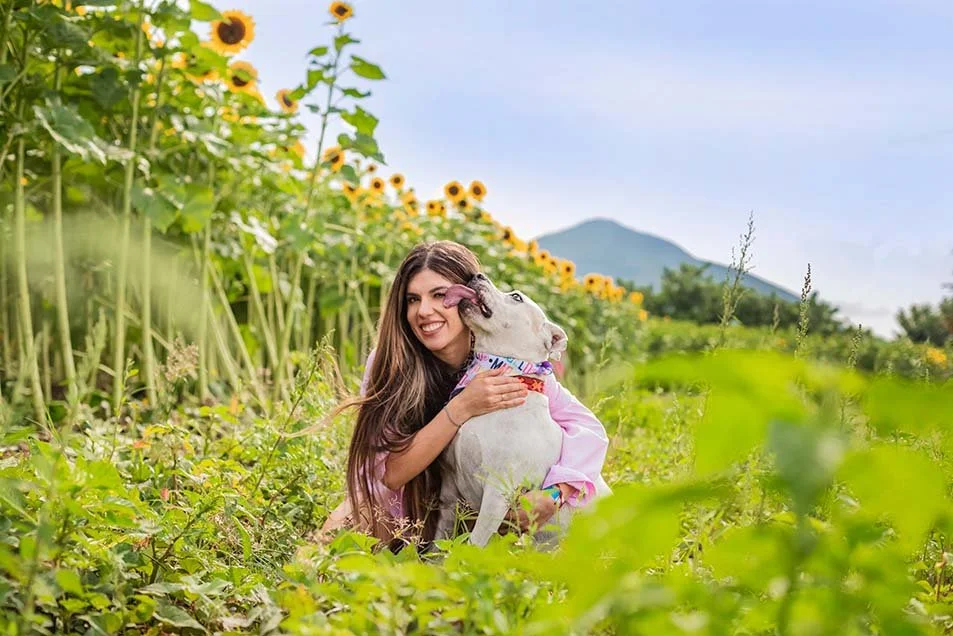 alemoranfoto-fotografia-de-mascotas-en-guadalajara-jalisco-sesion-de-fotos-en-campo-de-girasoles-12.jpg