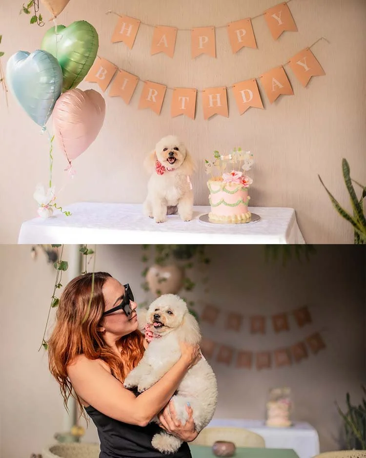 fotos de cumpleaños para mascotas en Guadalajara jalisco