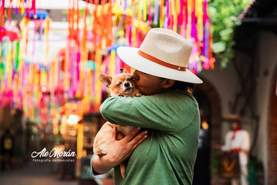 FOTOGRAFÍA DE MASCOTAS