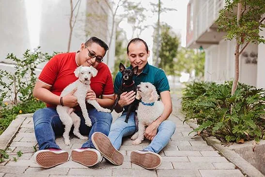 Fotos en nuevo hogar con perritos en Guadalajara
