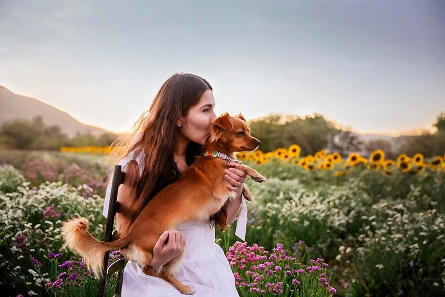 Fotografía en campo de girasoles