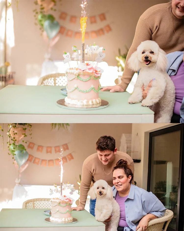 Fotografía de cumpleaños de mascotas Guadalajara Jalisco