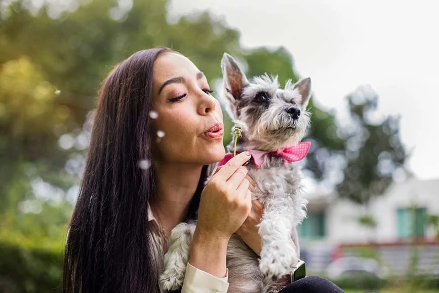 alemoranfoto-fotos-de-mascotas-senior-fotos-de-despedida-para-mascotas-guadalajara-jalisco-perritos-viejitos9.jpg