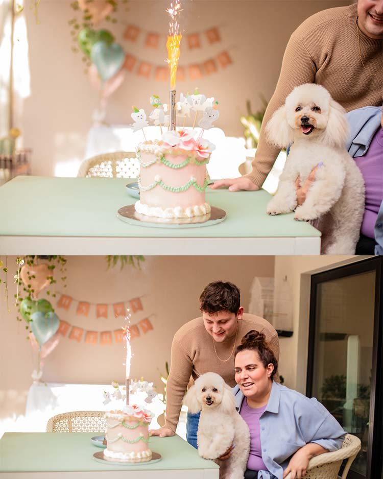 fotos de cumpleaños para mascotas en Guadalajara jalisco