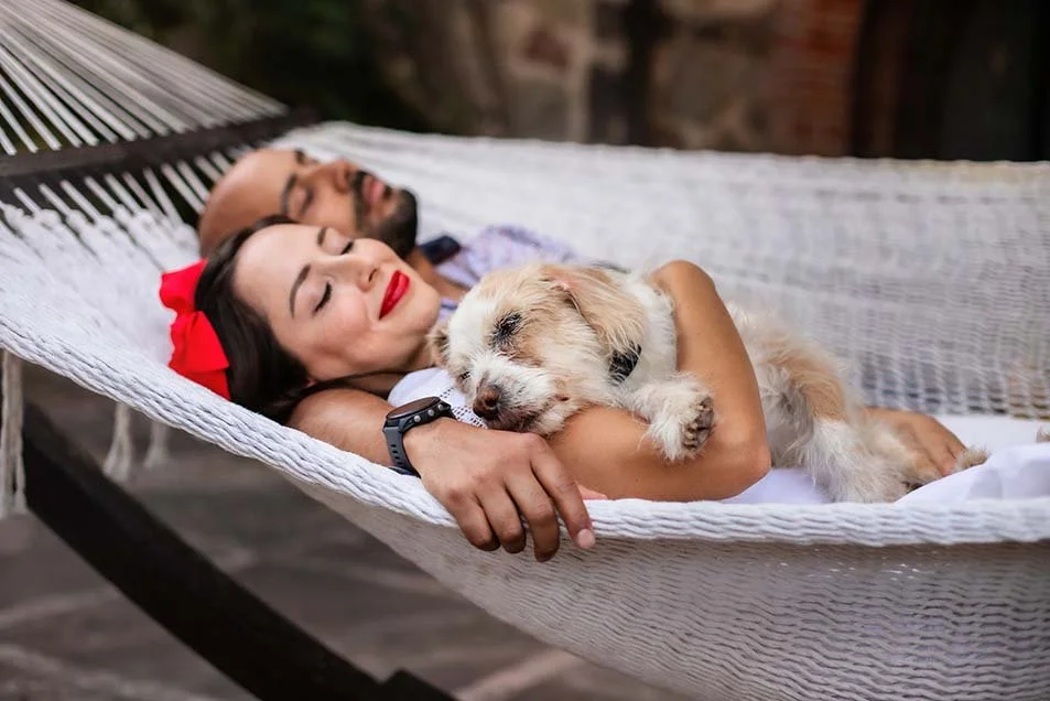 alemoranfoto-fotos-de-mascotas-senior-fotos-de-despedida-para-mascotas-guadalajara-jalisco-perritos-viejitos13.jpg