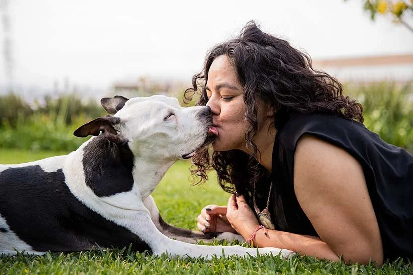 alemoranfoto-fotos-de-mascotas-senior-fotos-de-despedida-para-mascotas-guadalajara-jalisco-perritos-viejitos11.jpg