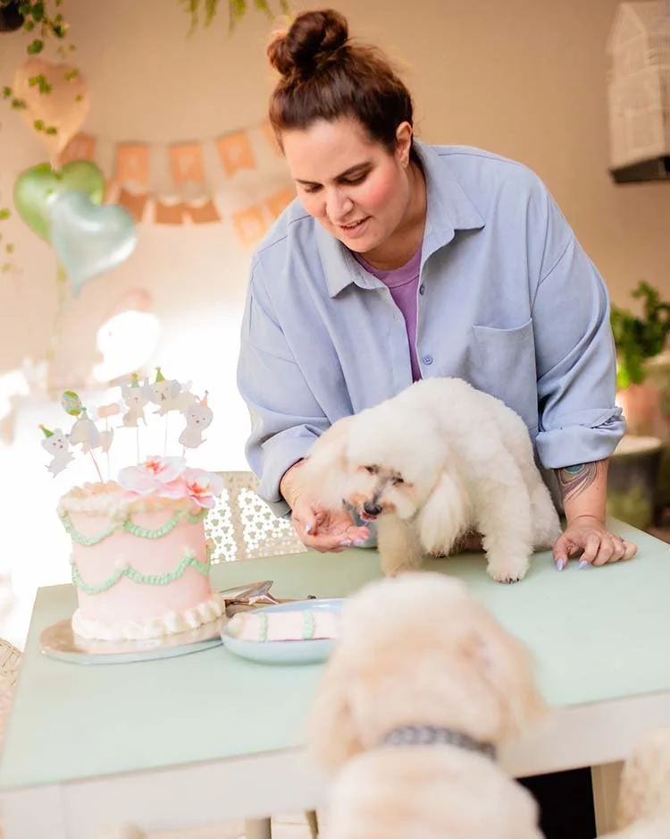 fotos de cumpleaños para mascotas en Guadalajara jalisco