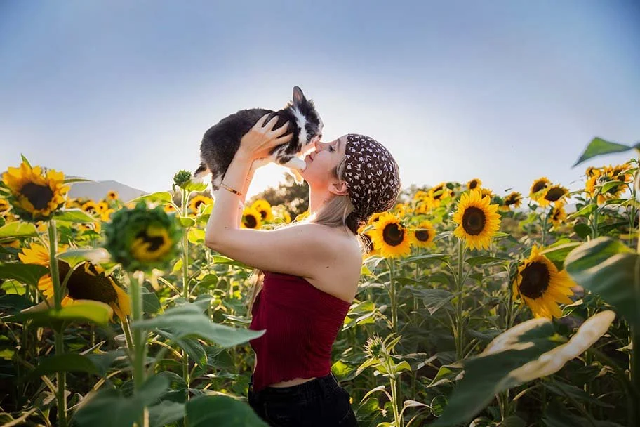 Sesión de fotos en campo de girasoles guadalajara jalisco