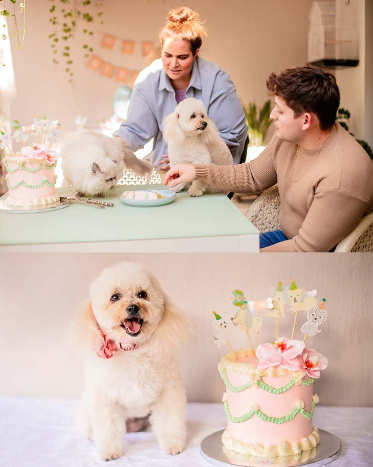 fotos de cumpleaños para mascotas en Guadalajara jalisco