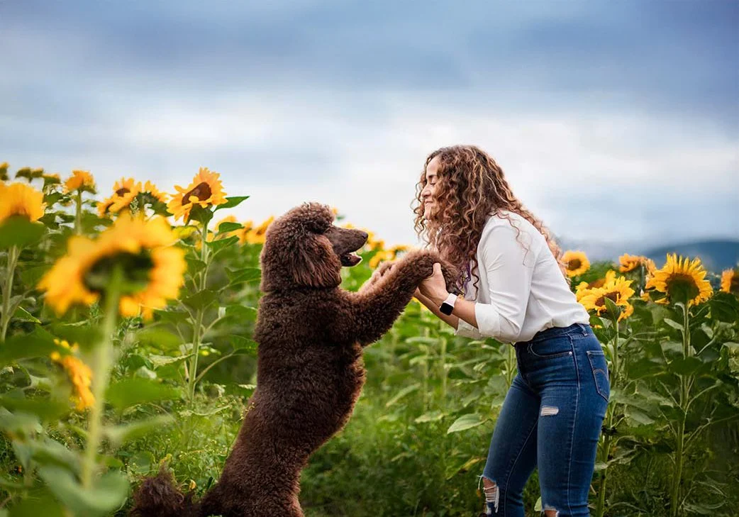 alemoranfoto-fotografia-de-mascotas-en-guadalajara-jalisco-sesion-de-fotos-en-campo-de-girasoles-8.jpg
