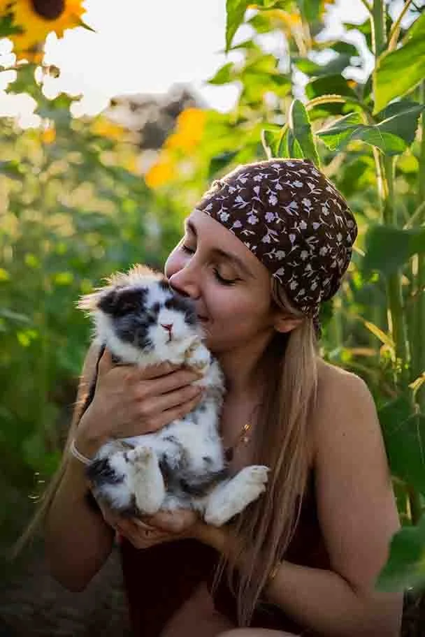 Fotos de mascotas entre girasoles