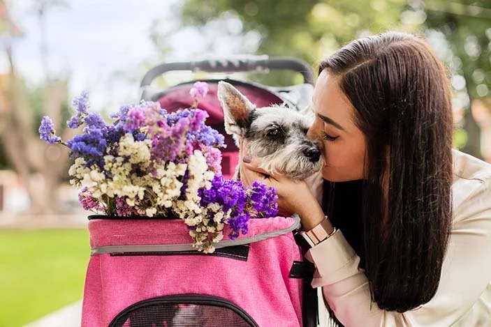 alemoranfoto-fotos-de-mascotas-senior-fotos-de-despedida-para-mascotas-guadalajara-jalisco-perritos-viejitos10.jpg