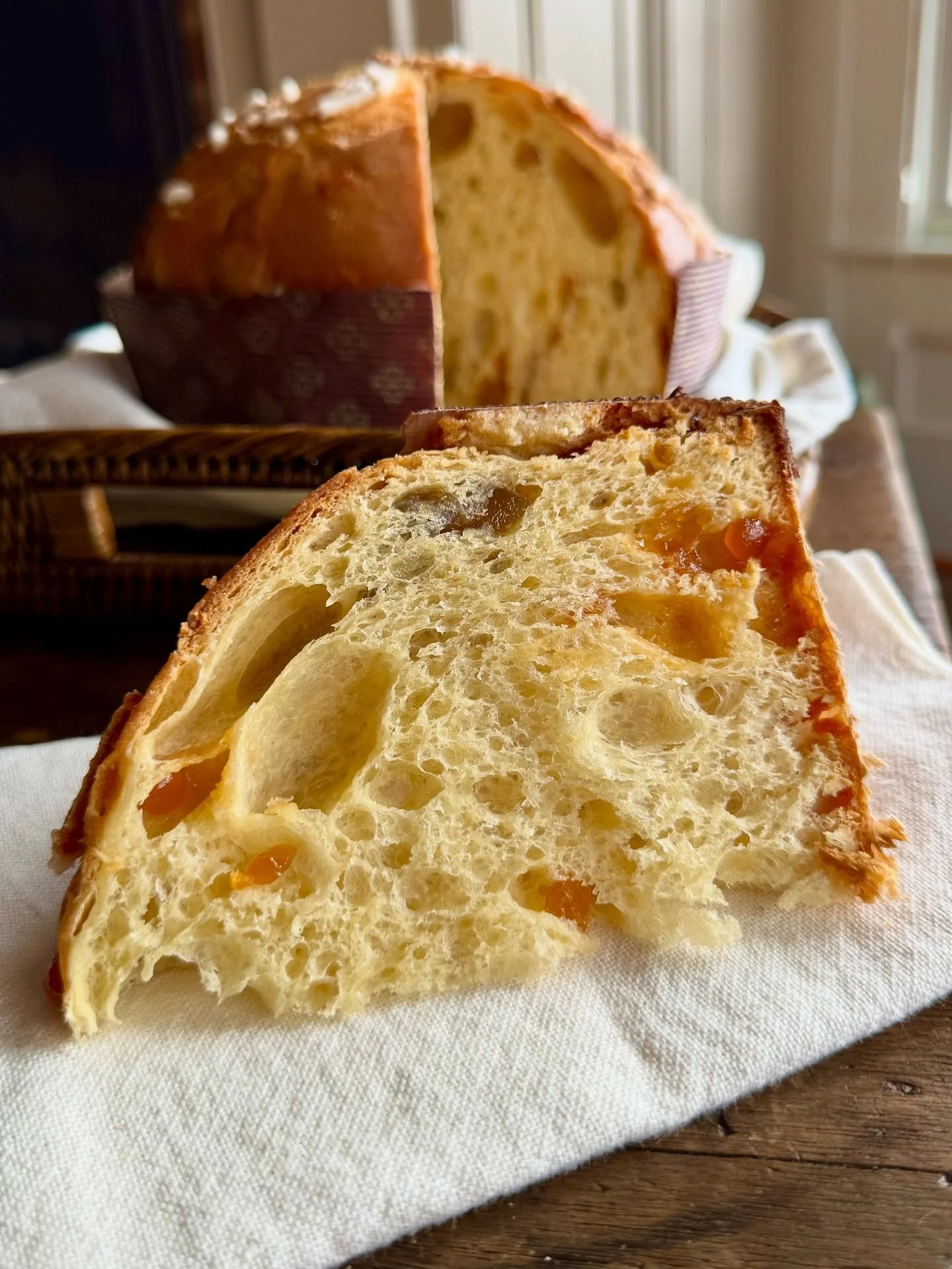 Panettone season is here&mdash; such a delicious selection is up on our website now. From our favorite Sicilian classics to exciting new choices. Join us this Holiday season for #ASicilianExperience. 

#ShopATERRA #Sicilian #Apricot #Panettone #Artis