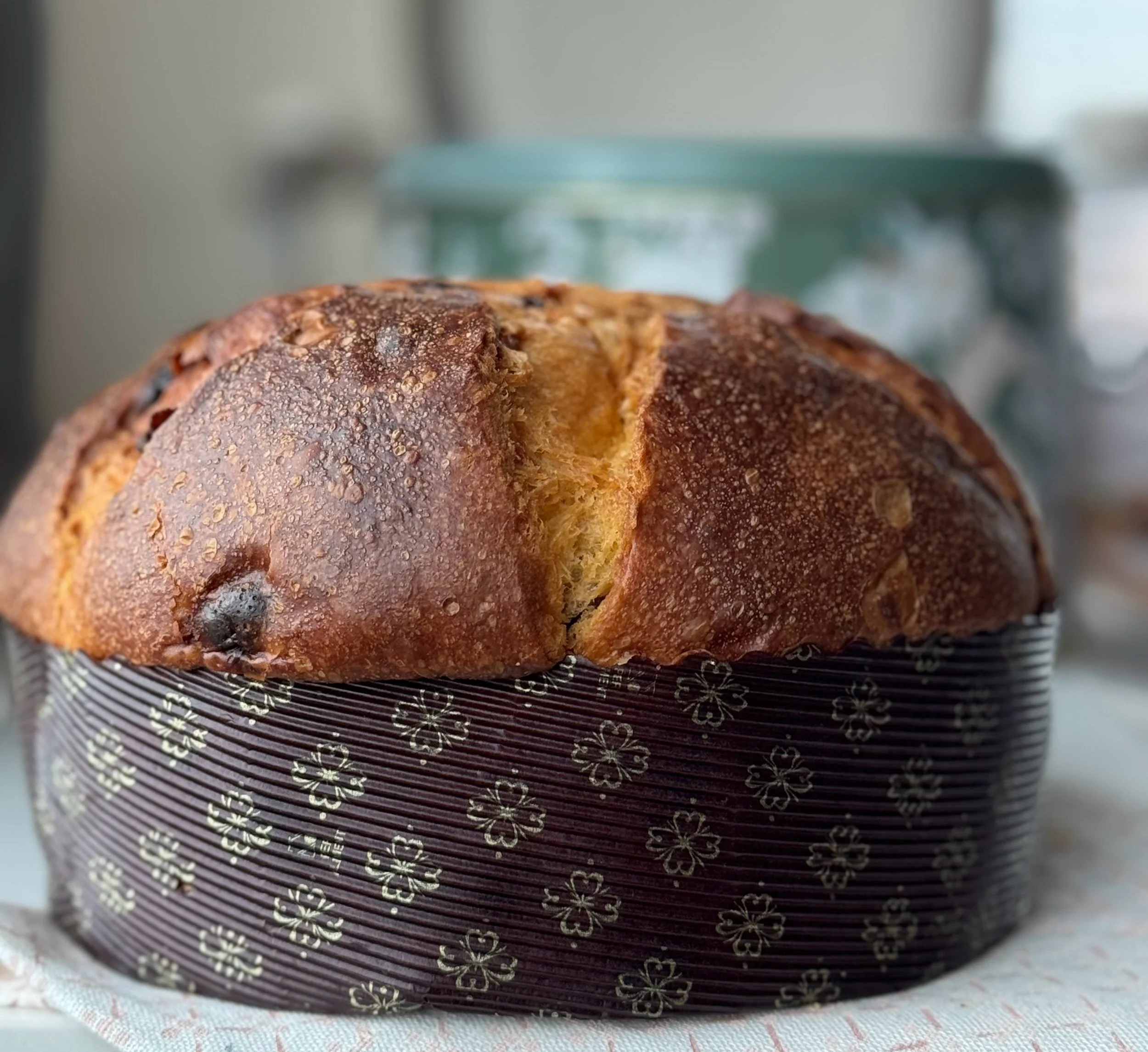 New! Loison Panettone al Mandarino Tardivo di Ciaculli