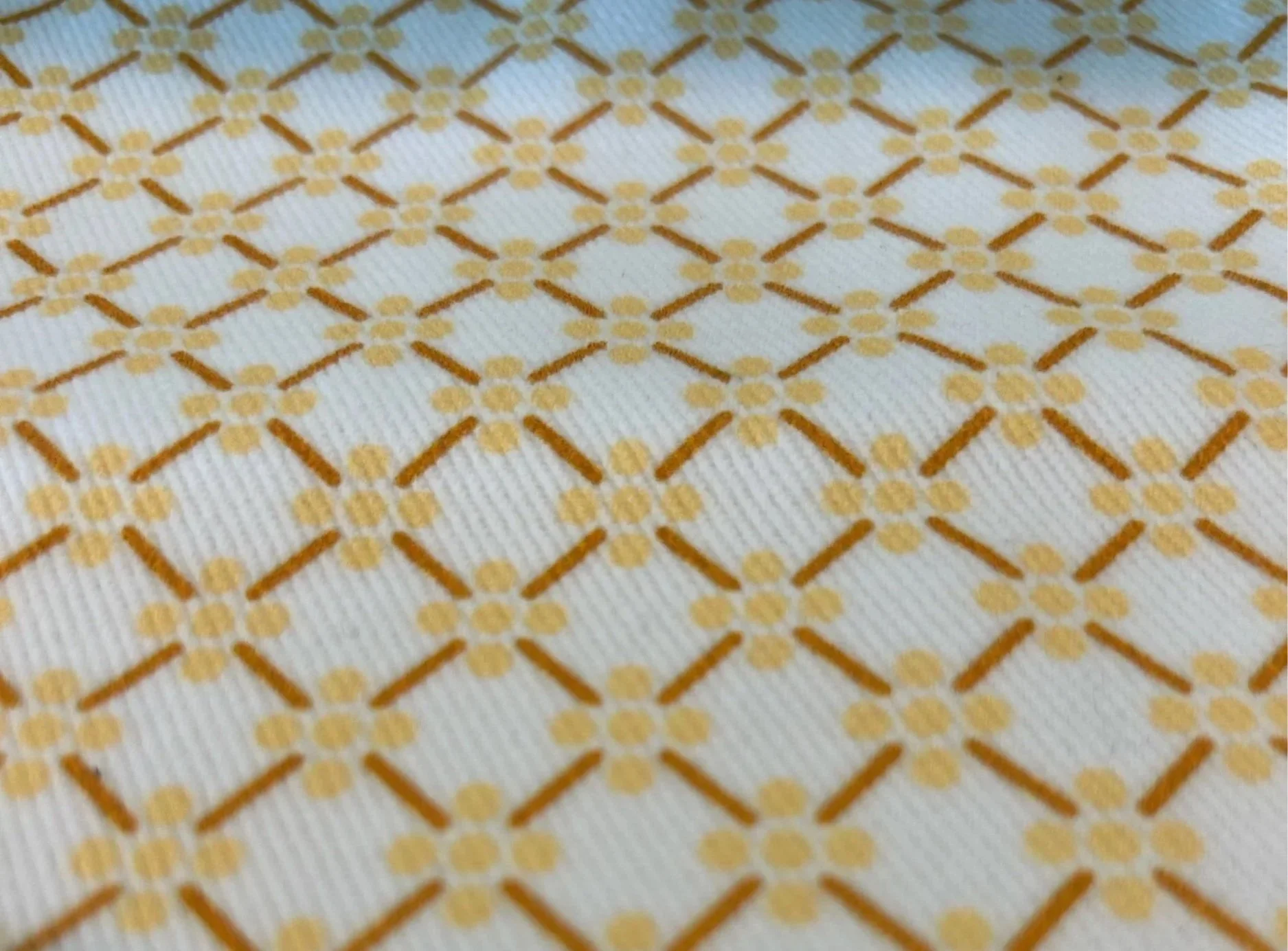 6A734F74-C54C-4796-B7EF-F1CE1F9185B0.jpg