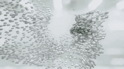 Animated GIF - Find & Share on GIPHY