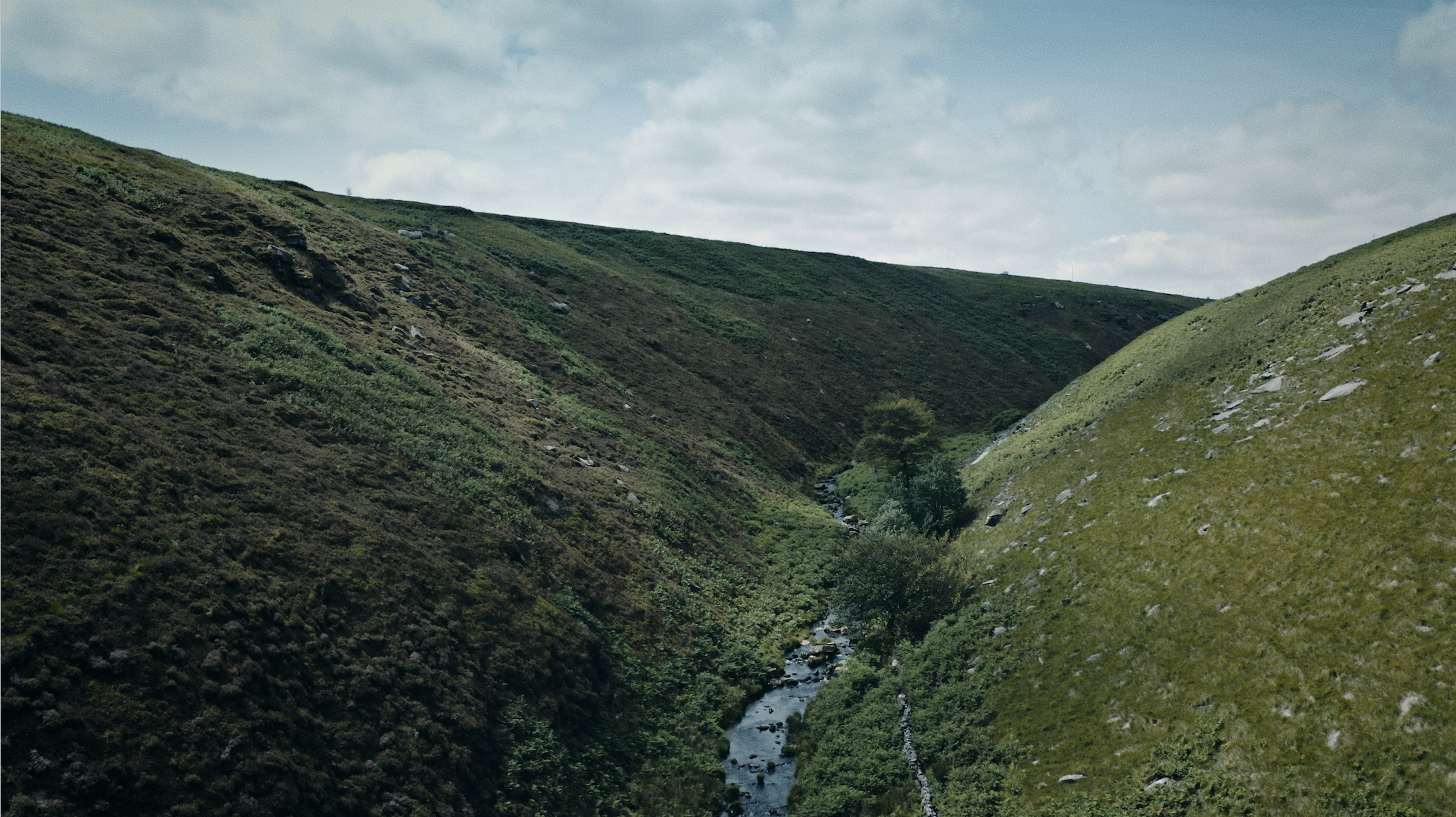 Screenshot 2021-06-17 at 16.24.27.png