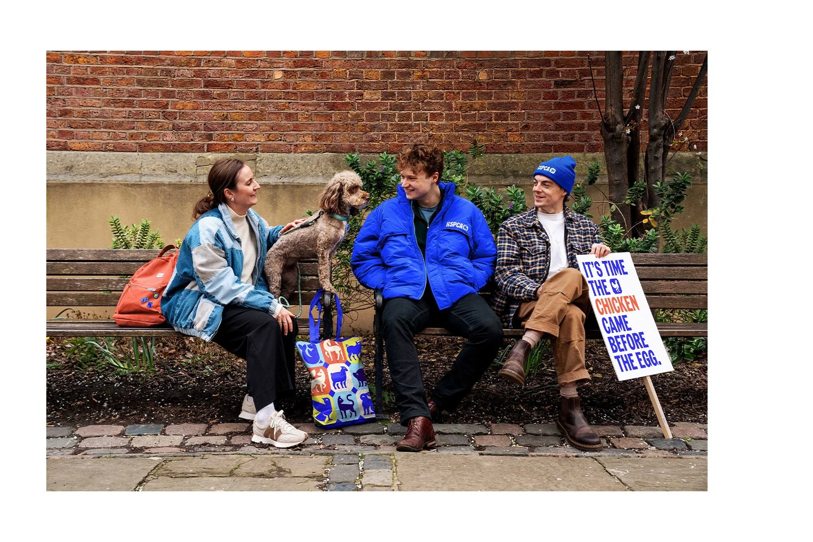 RSPCA-Socials_01.jpg