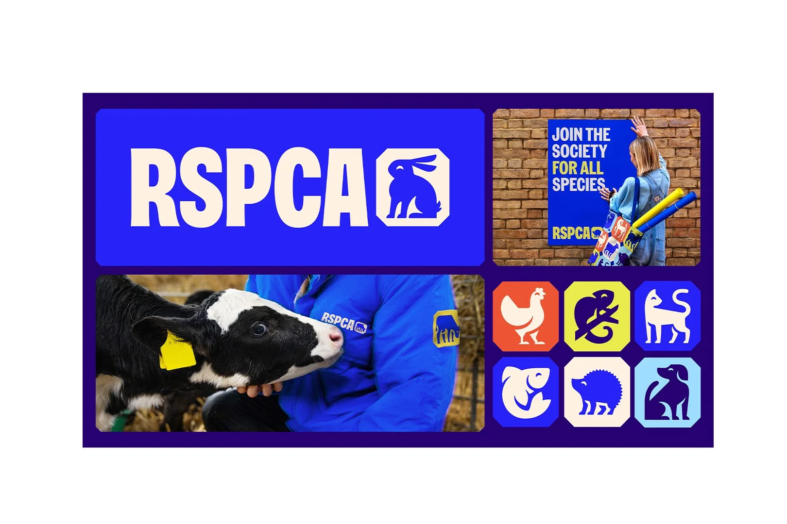 RSPCA-Socials_04.jpg