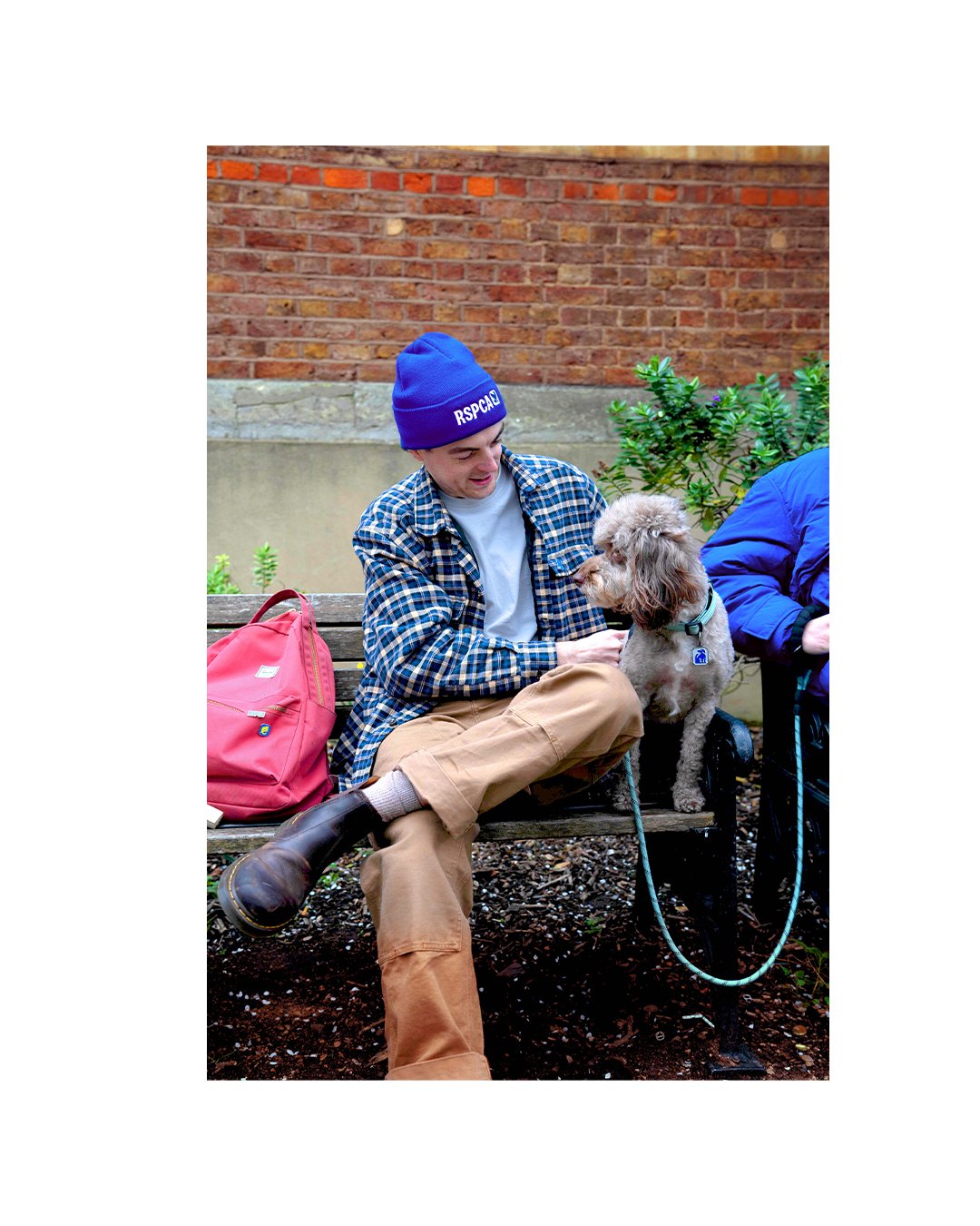 RSPCA-Socials-2_01.jpg
