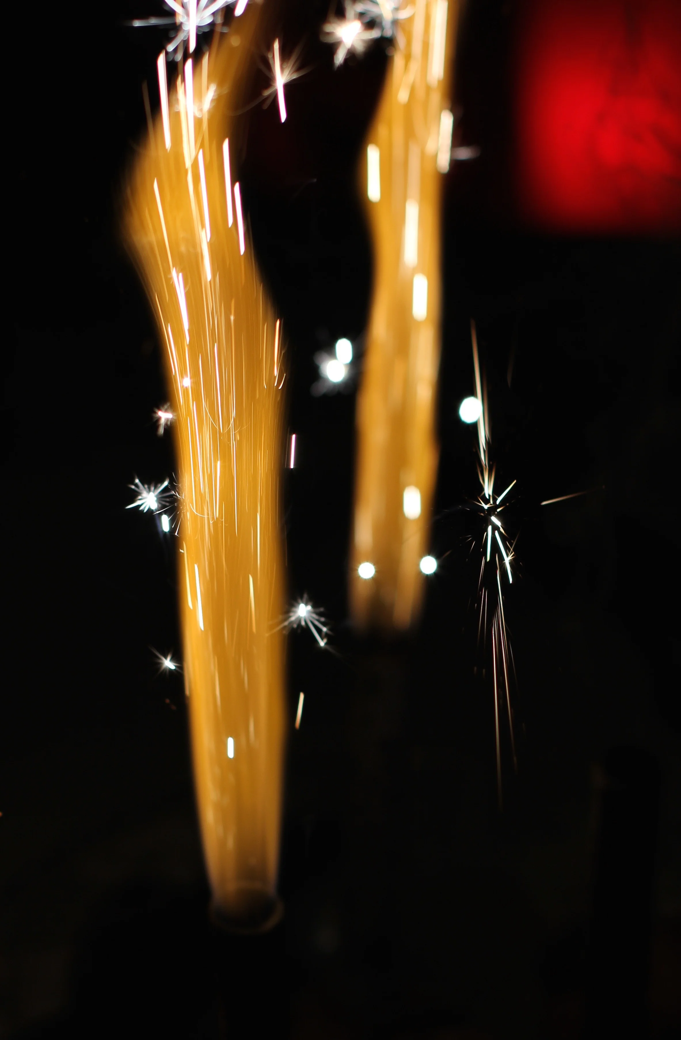 IMG_8187.jpg