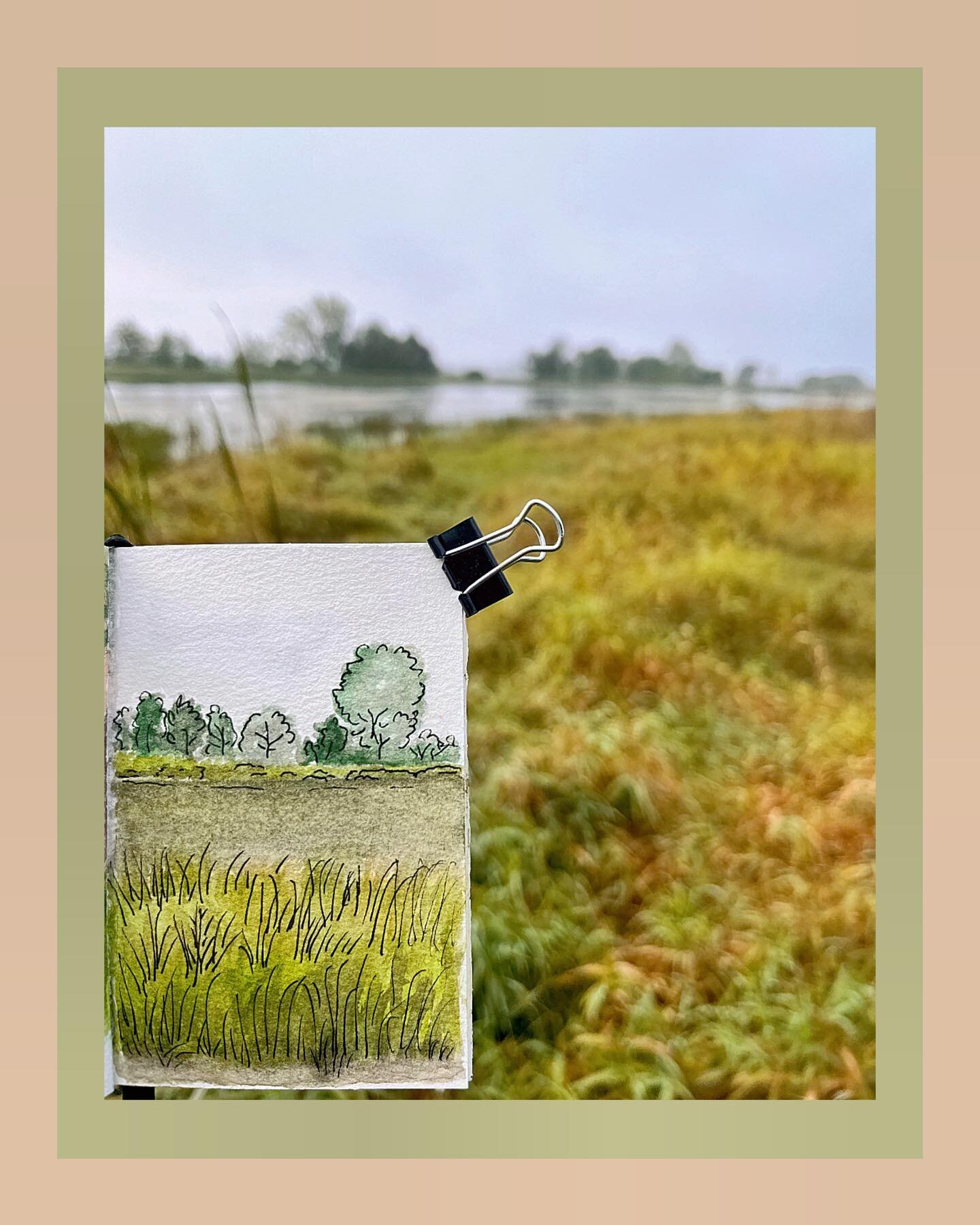 Beautiful end of summer morning at the marsh. 
.
.
.
Watercolour
.
.
.
.
.
#wetlandsconservation #quebec #naturelovers #watercolourart #watercolours #watercolorpainting #marshland #naturepainting #pleinairpainting #pleinair