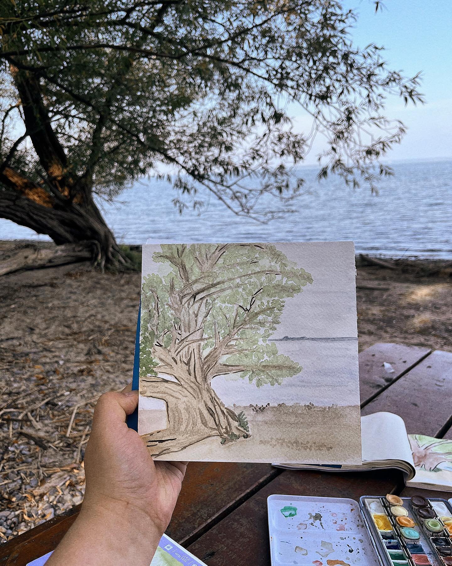 Tree on a beach in watercolour.
.
.
I find trees to be challenging to draw generally, but I like the colours of this one.
.
.
.
#watercolourart #naturelovers #watercolorpainting