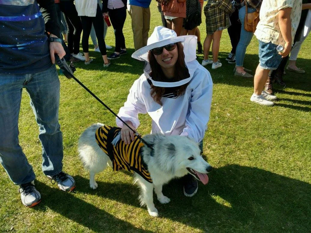 13047966_1534578120179260_7612530712108253031_o.jpg