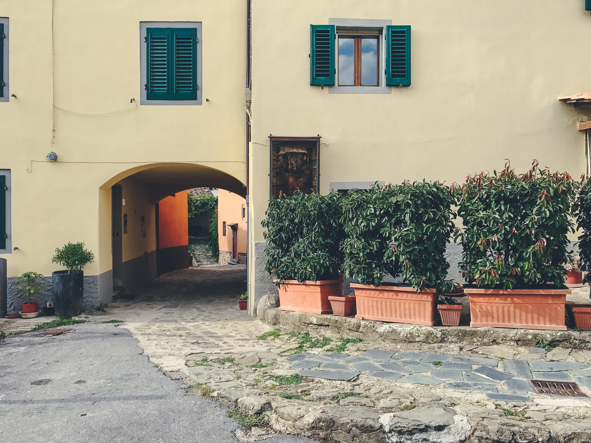 Castagno di Piteccio by CCT-SeeCity 2017 - 11.jpg