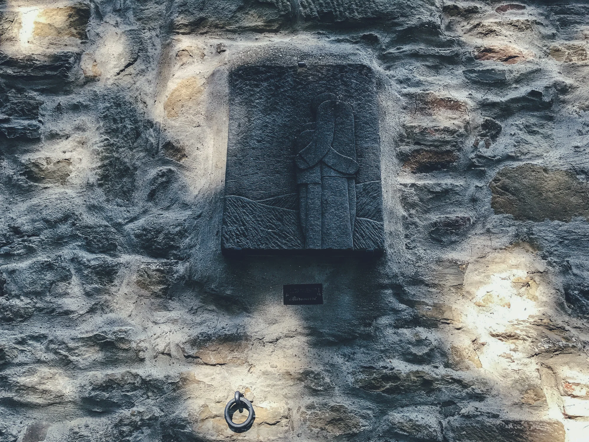 Castagno di Piteccio by CCT-SeeCity 2017 - 16.jpg