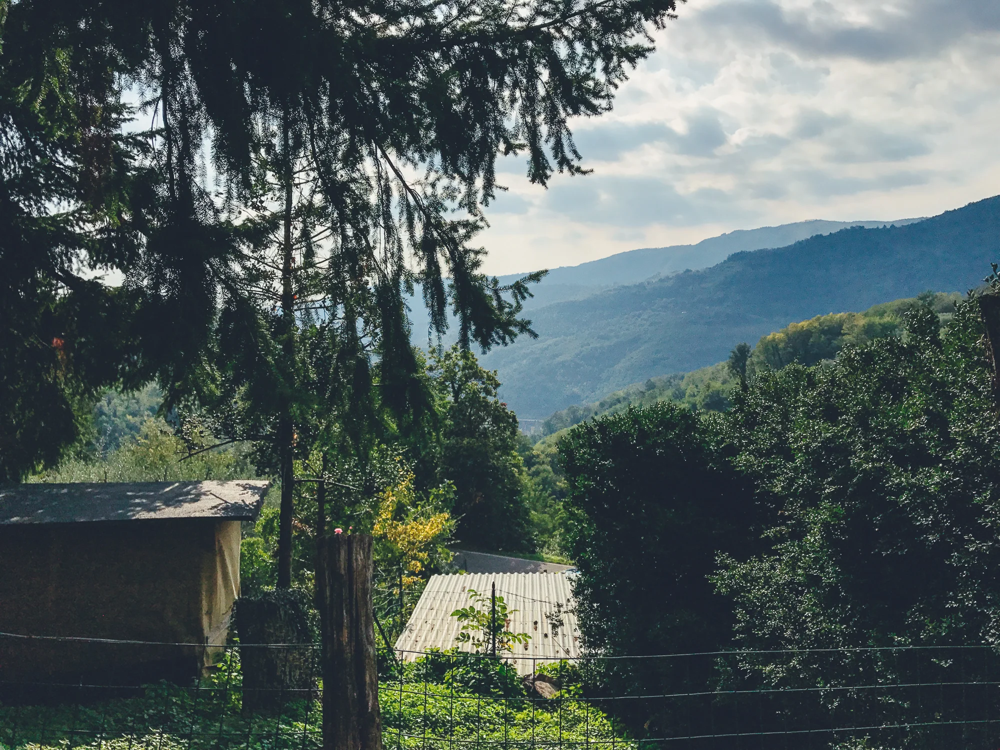 Castagno di Piteccio by CCT-SeeCity 2017 - 18.jpg
