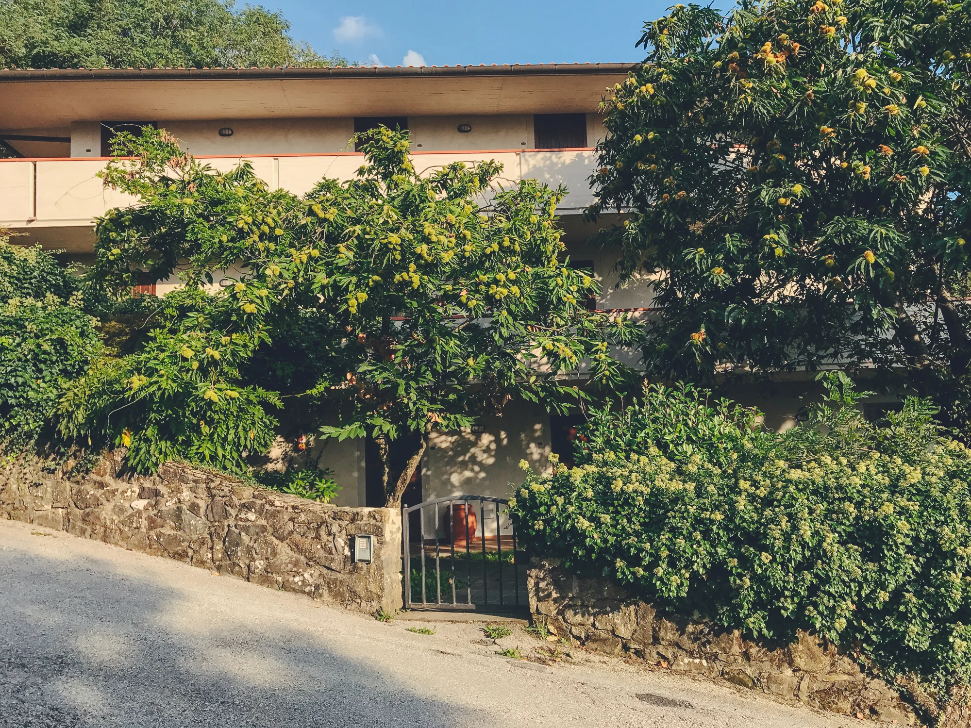 Castagno di Piteccio by CCT-SeeCity 2017 - 51.jpg