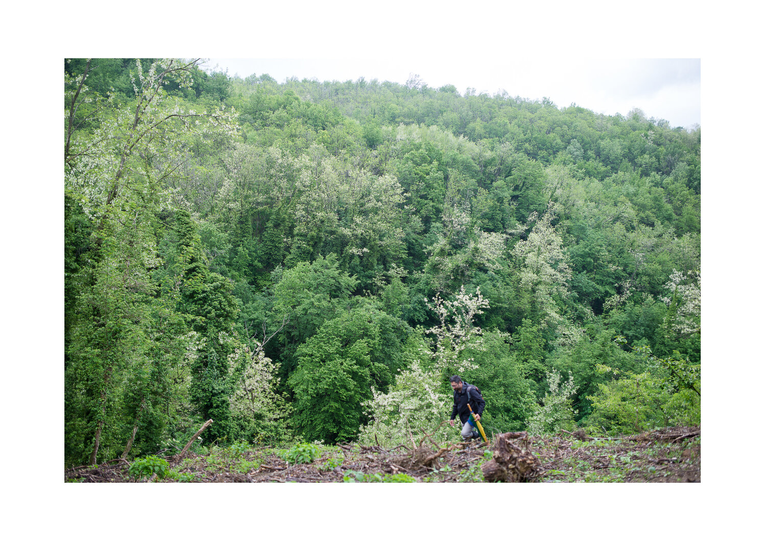 CASTAGNO-BOSCO-MAGGIO-2019-055.jpg