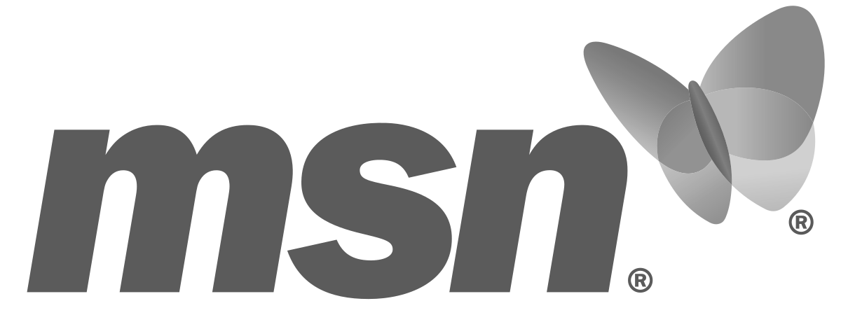 msn logo.png