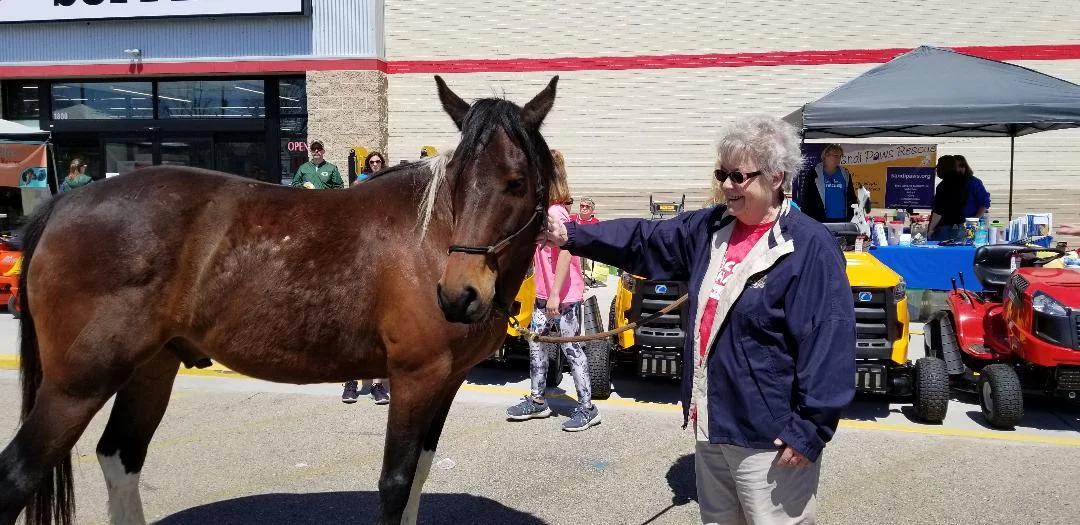 2018 April Adoption event-Tractor Supply.jpg