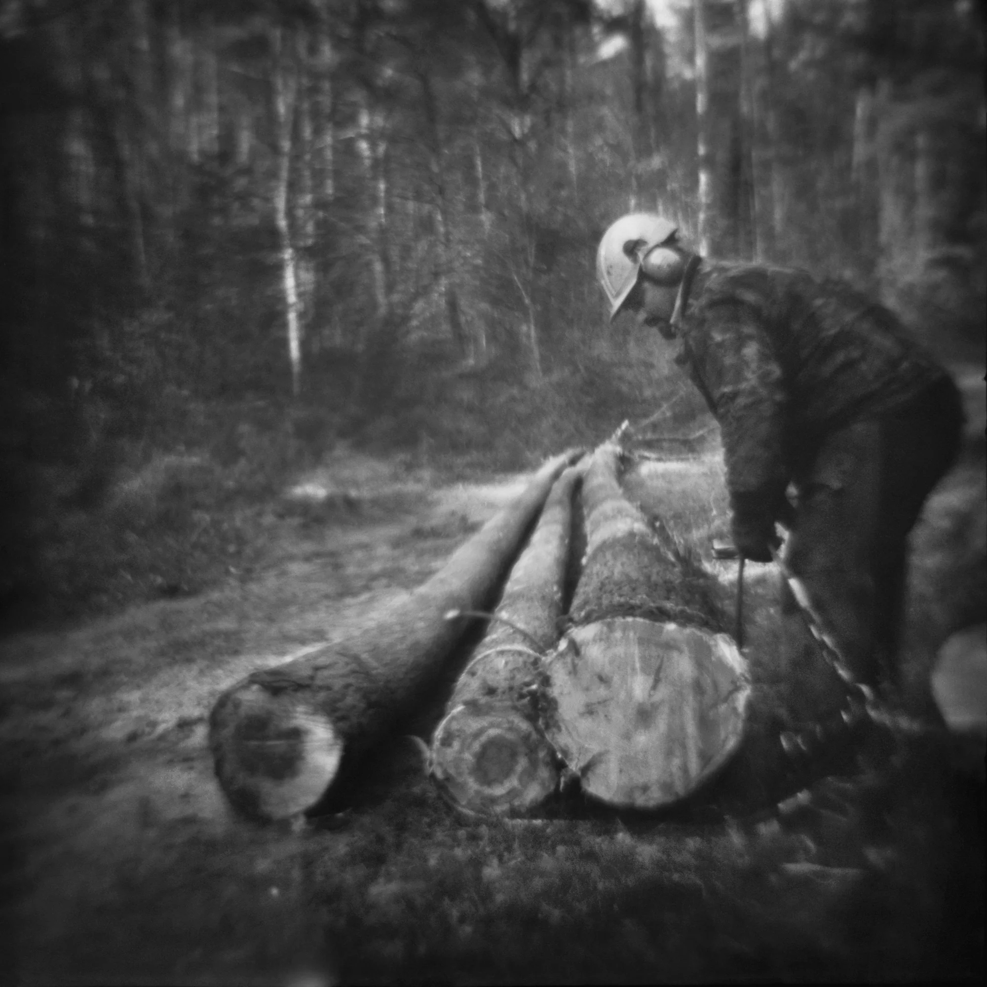 01_glen_w_logs_2_flat.jpg