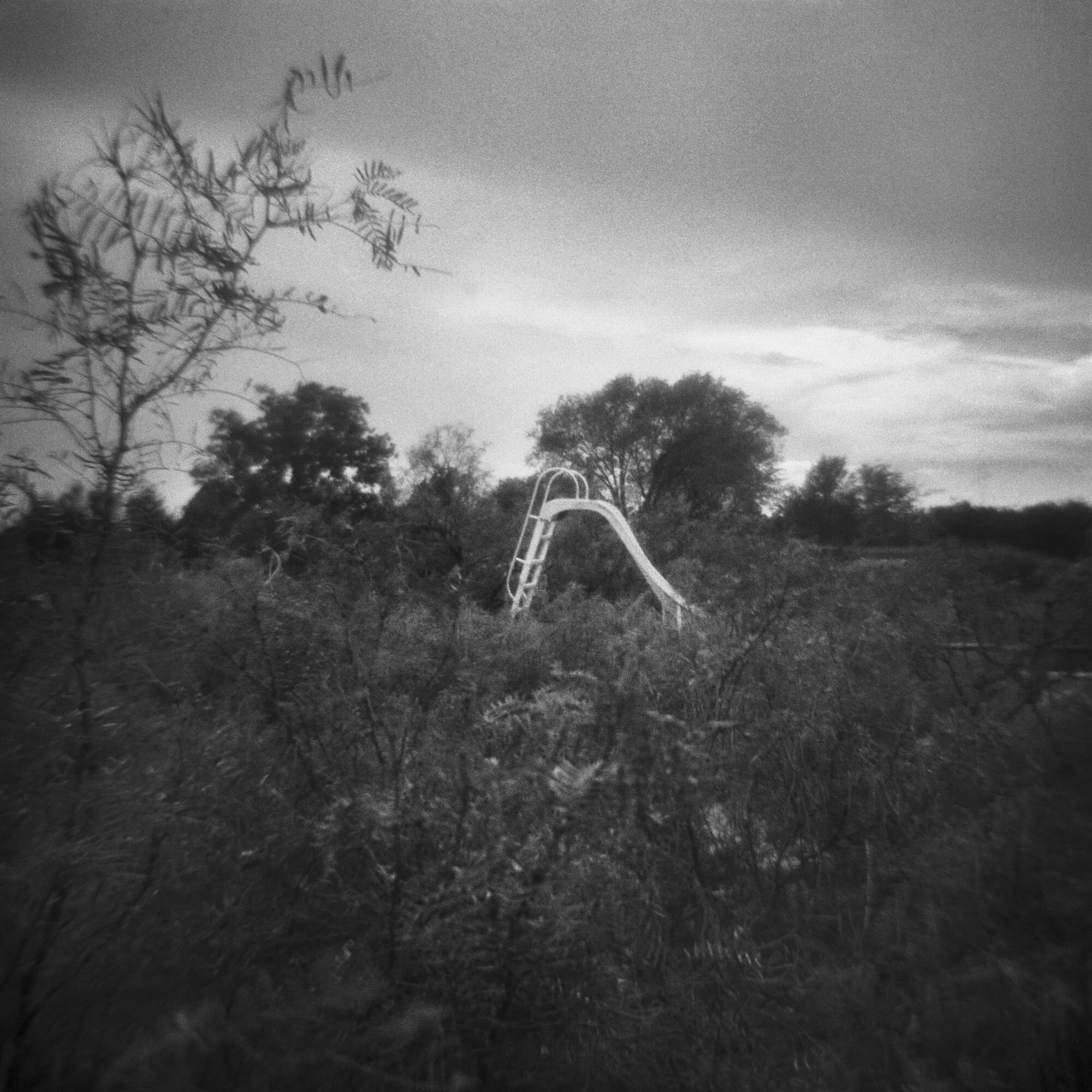 Untitled 12 (slide).jpg