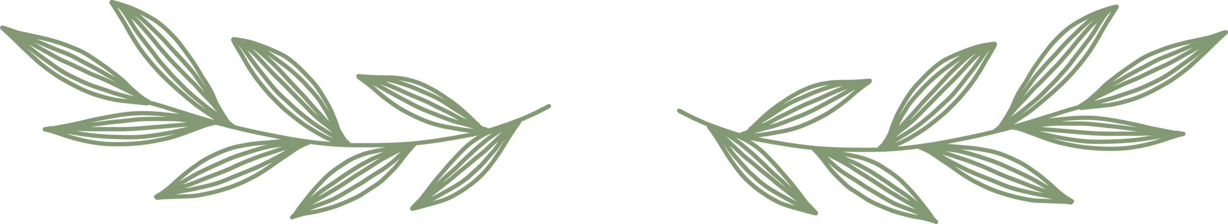 divider_1_green_trn.png