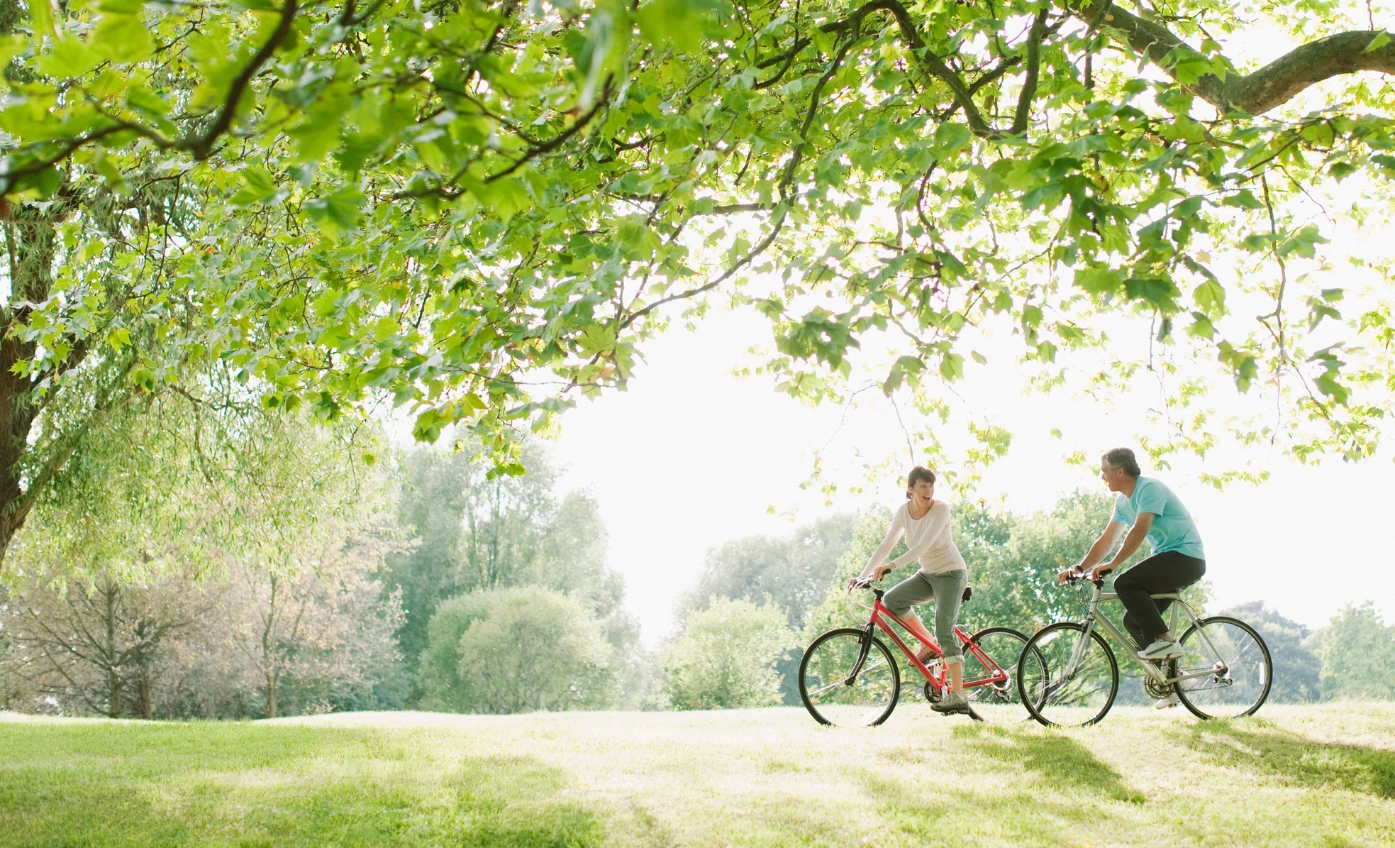 iStock-108359509.jpg