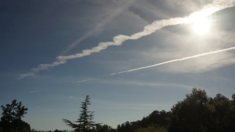 DSC01620 sunflare.jpg