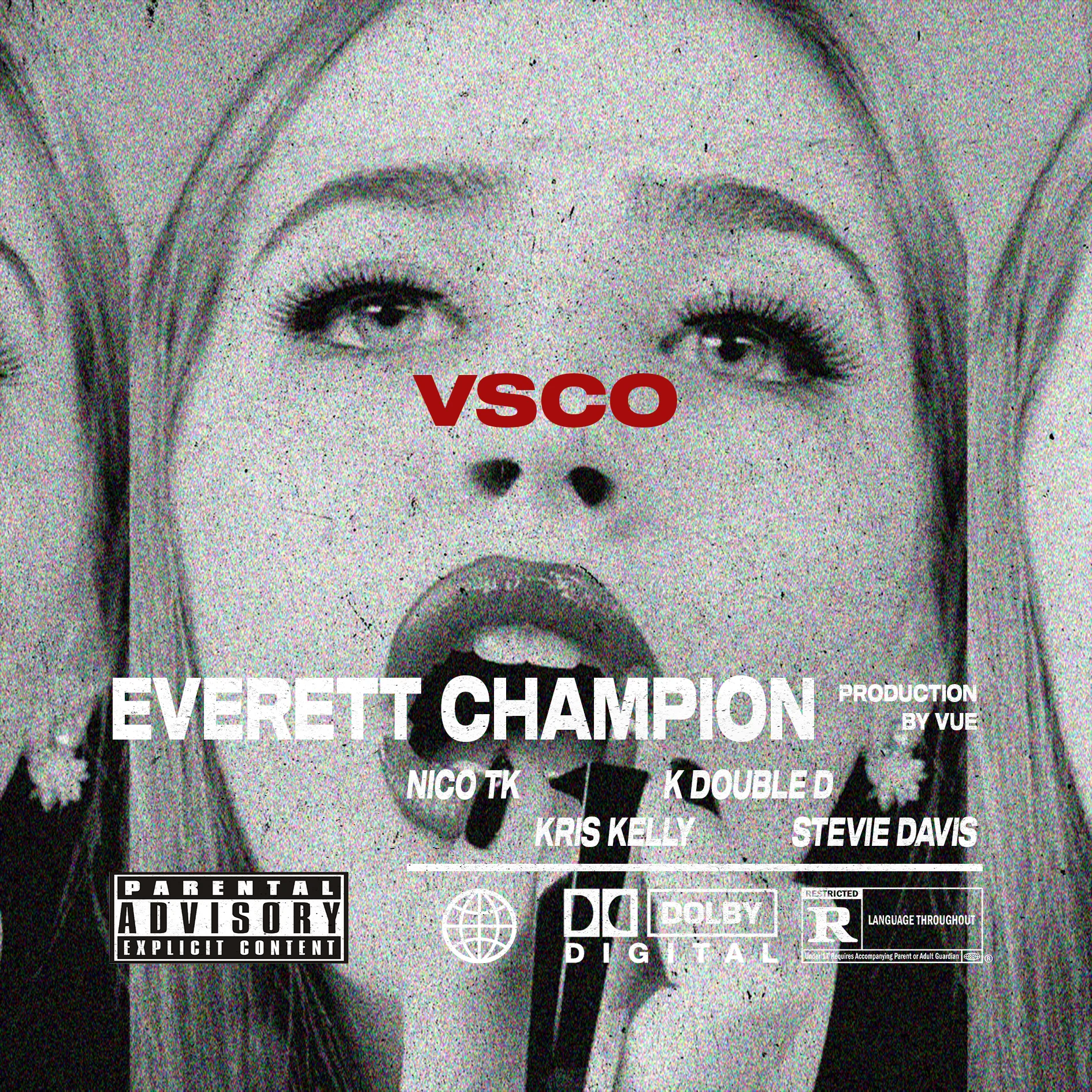 VSCOOption3.jpg
