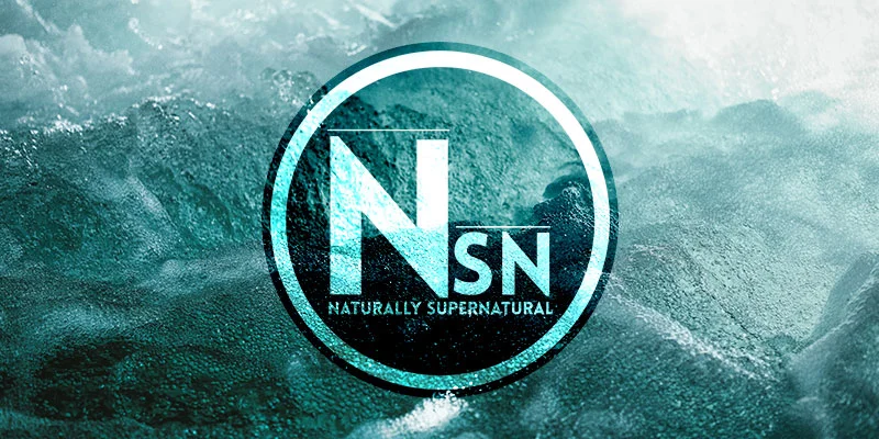 nsn-banner.jpg