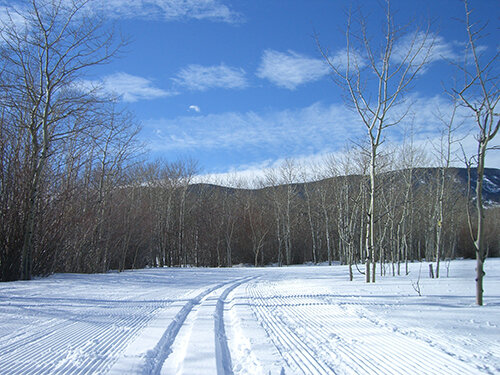 NordicCenter_Aspens_500w.jpg