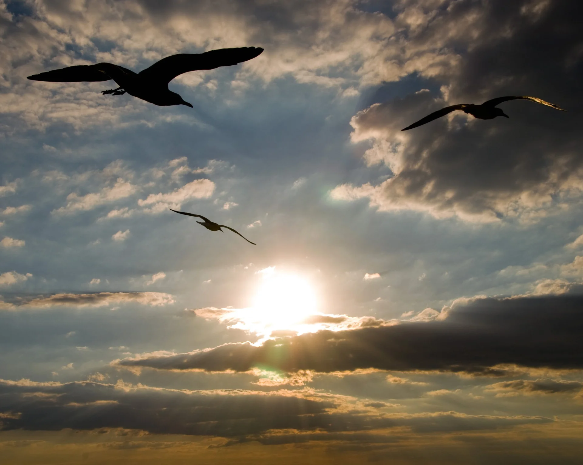 4choice_tonyfischerphotography.jpg