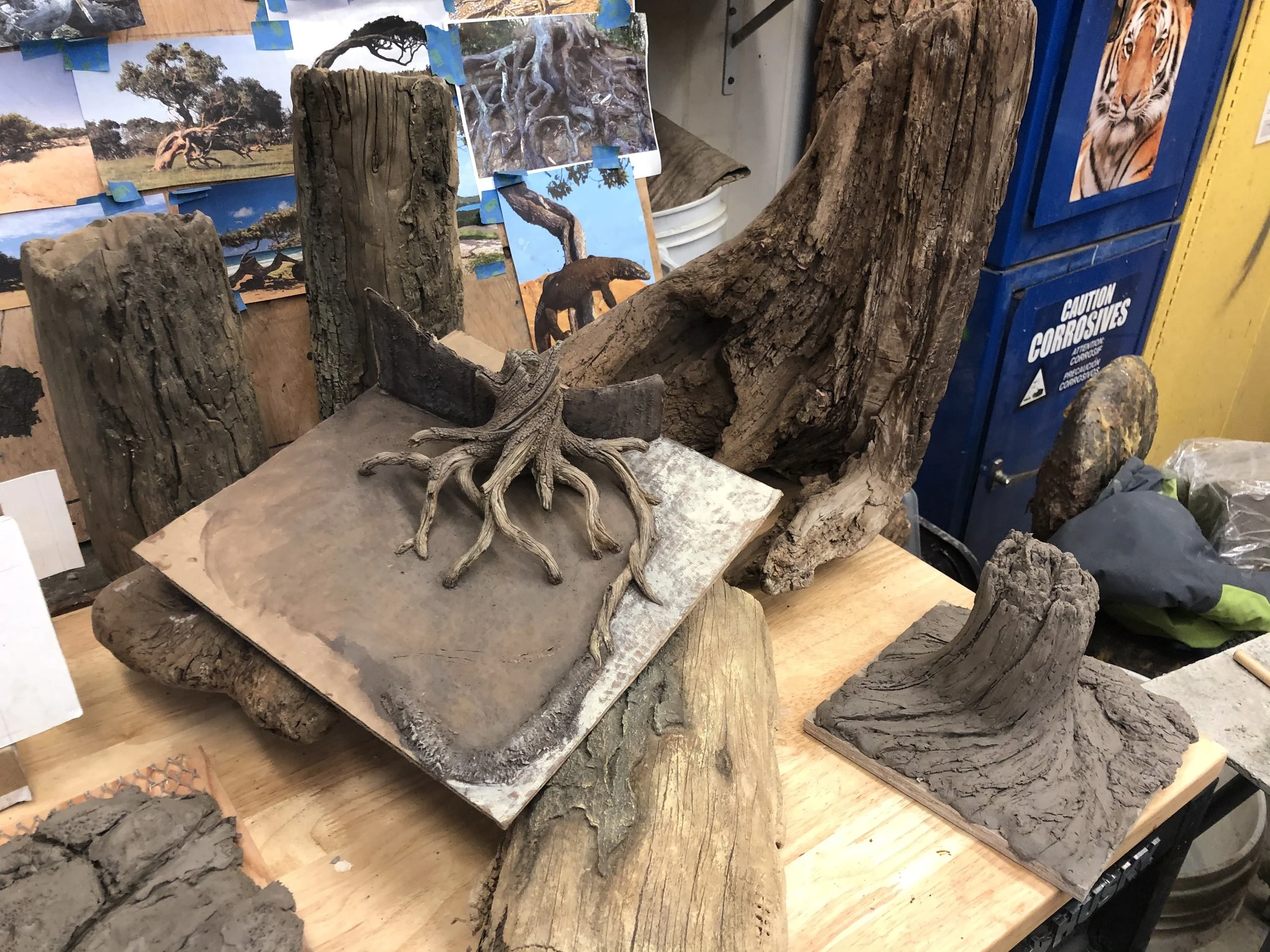  Scale model and texture / color studies 