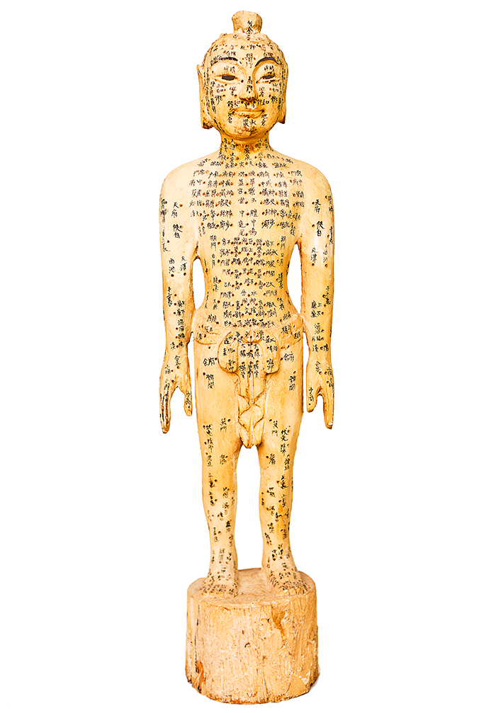 full-figure.png