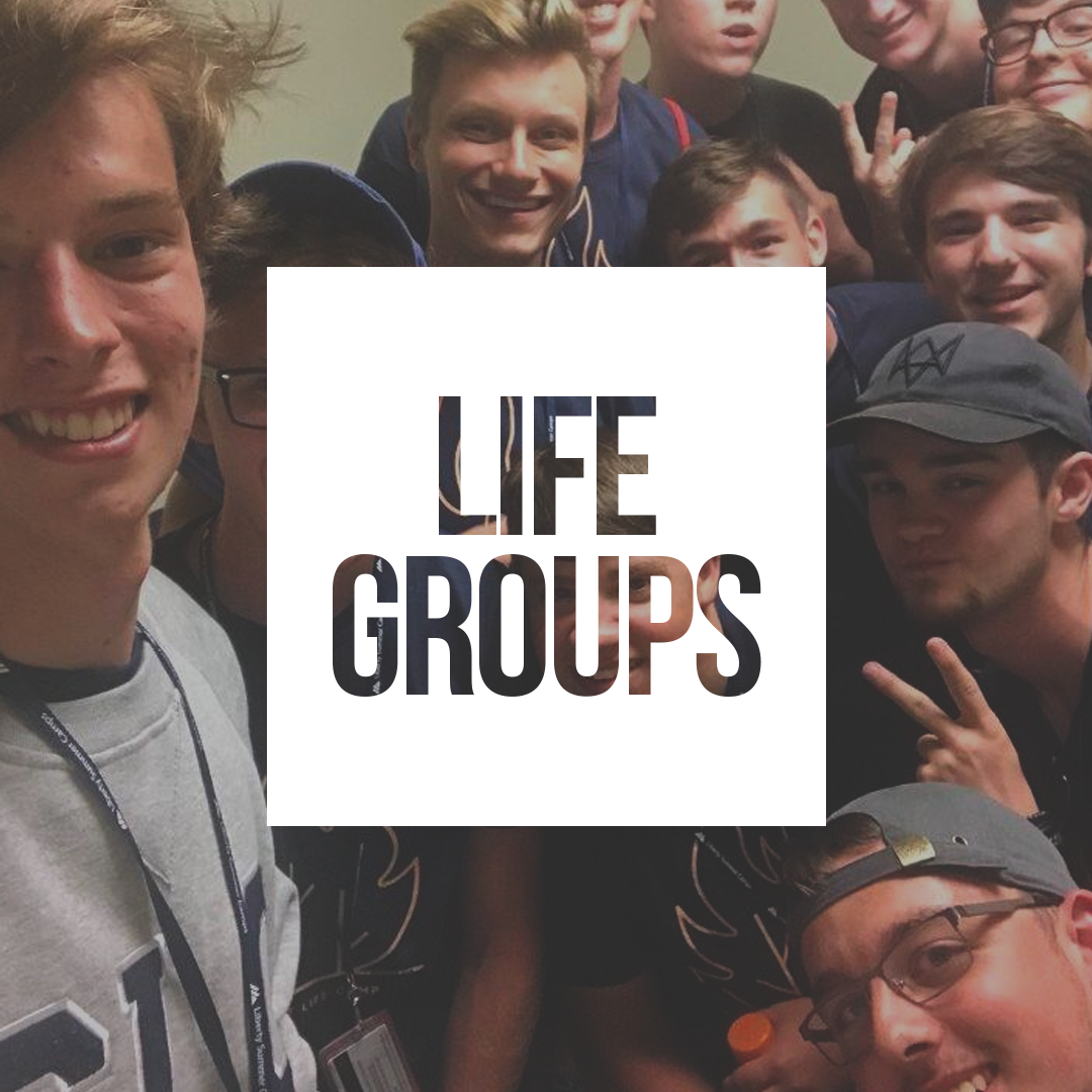Graphic_LIFE_Groups.png