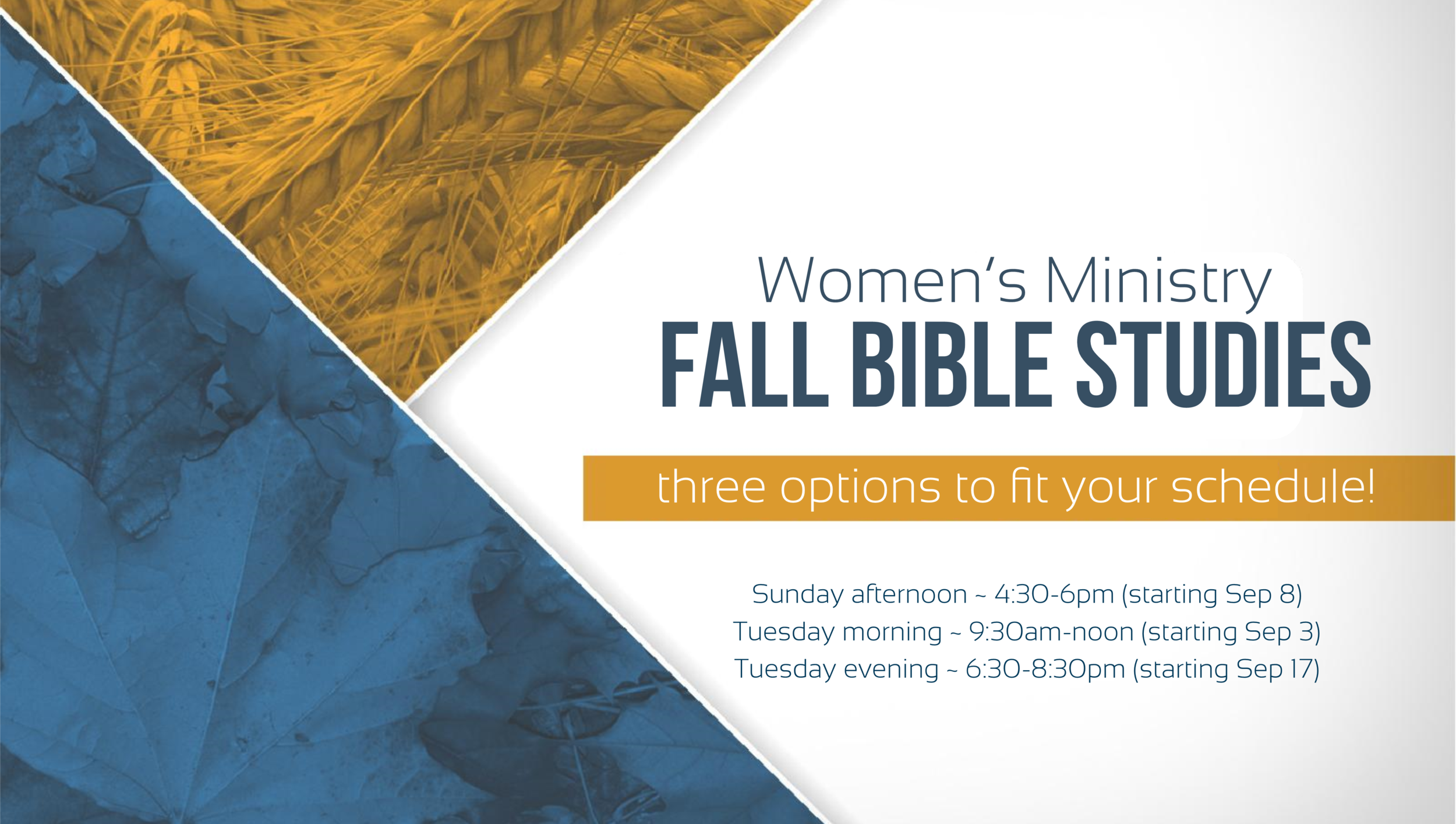 Women's Ministry Fall Bible Studies