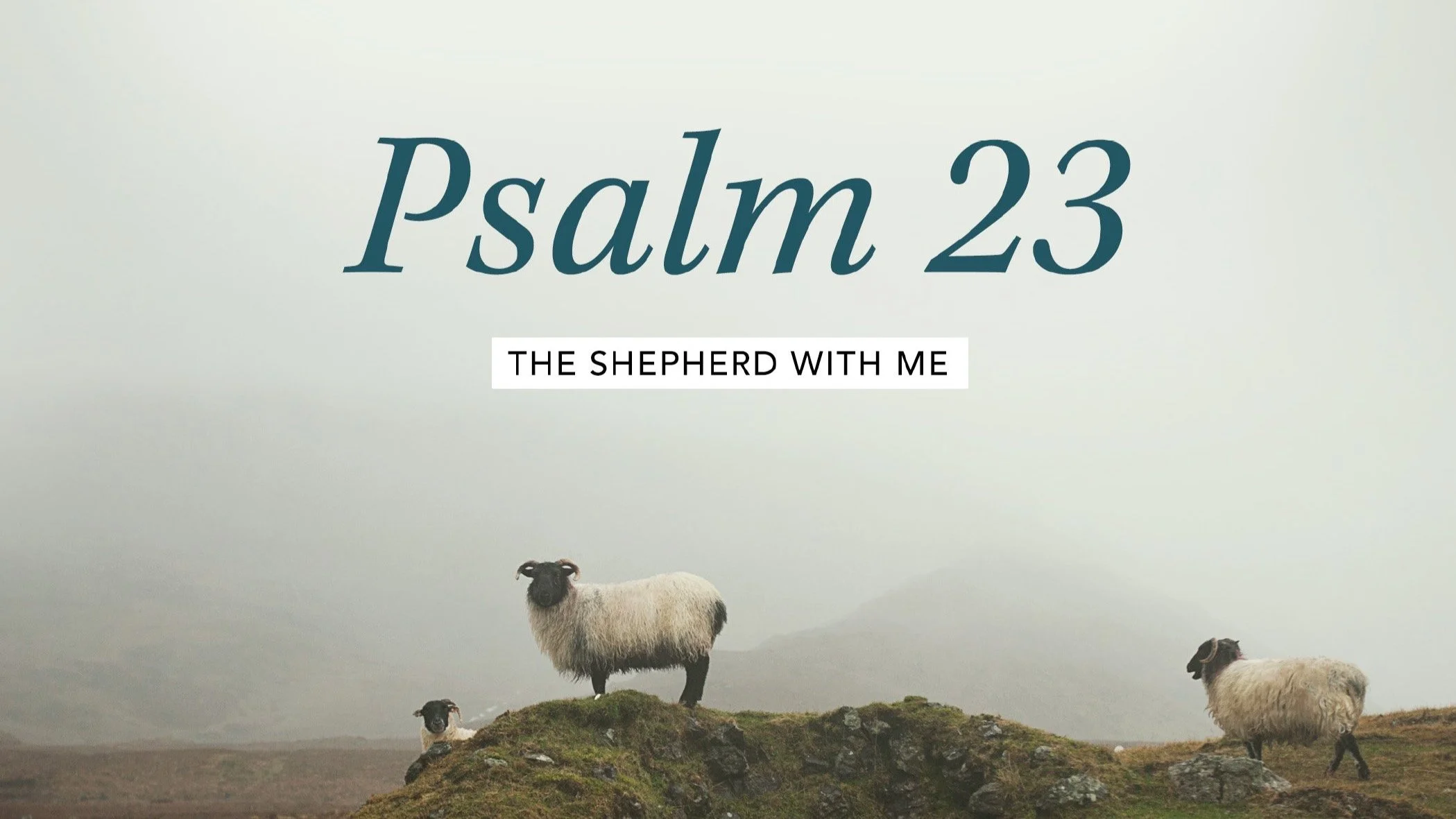 Psalm 23