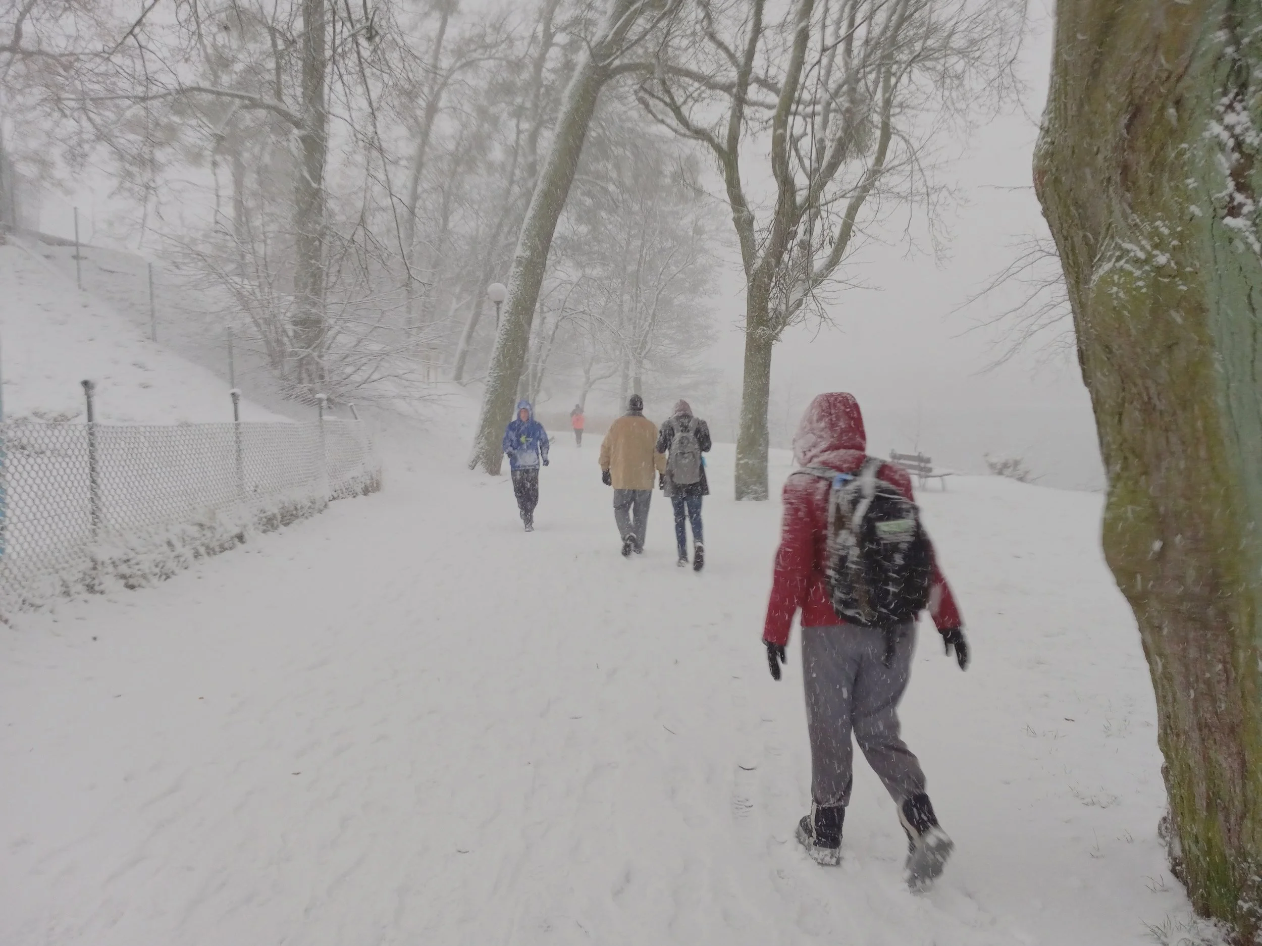 Jan+20+-+Snow.jpg